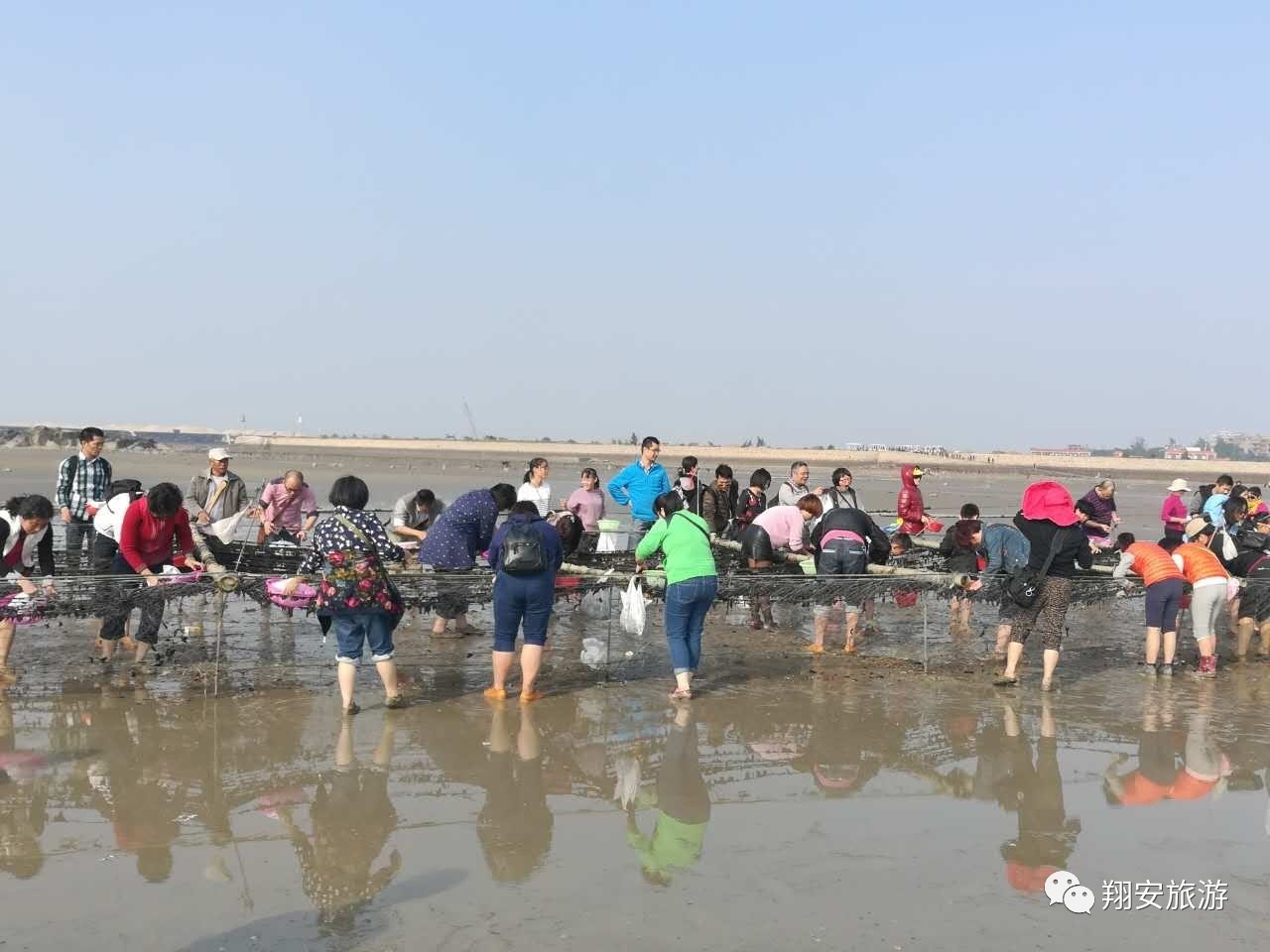 鱼我所欲也,紫菜亦我所欲也~2016翔安海岛旅游节欢乐登场