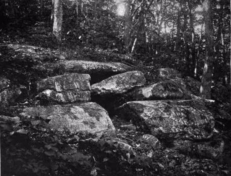 狼人进化史,关于狼人的变异视频