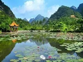 深度关注我县吹响旅游复苏新号角,广西双创示范基地