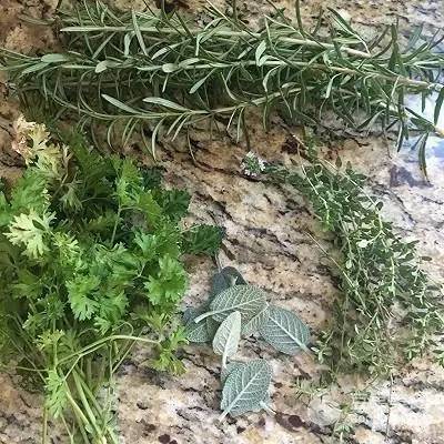 从阳台飘香到厨房种上它就对了