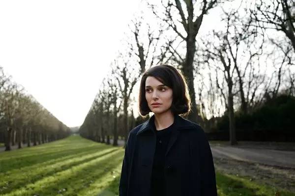 2019奥斯卡获奖提名名单历届,2019年奥斯卡获奖名单一览