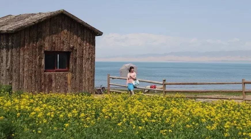 这才是青海人,终于有了答案