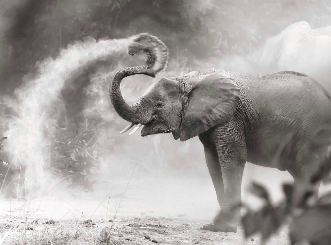 西班牙美食之旅2017,马德里旅游美食