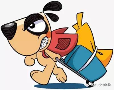 春节张家口去海南的机票价格,张家口飞上海最便宜的机票