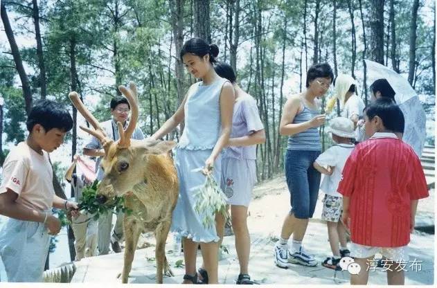 千岛湖的历史记忆,千岛湖历史记忆