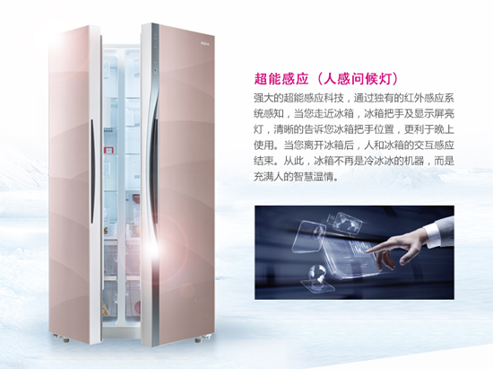 缔造鲜美境界尽在帝度大鲜系列健康冰箱