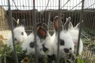 房山旁边都有哪些活动,今天房山区有什么活动