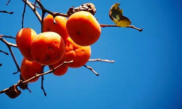 这才是青海人,终于有了答案