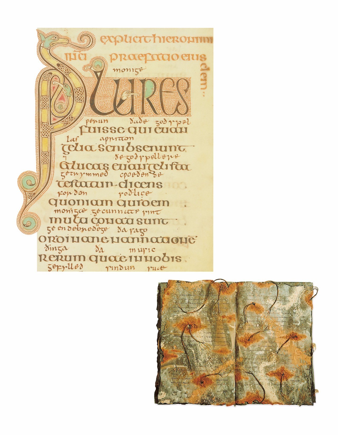 强迫症最好的良方,强迫症良方大全