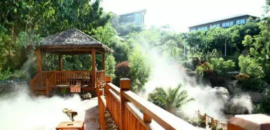 2017叨位“七桃”？看这里，拿走不谢！