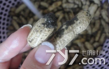 花生发霉还可以煮着吃吗,花生霉斑