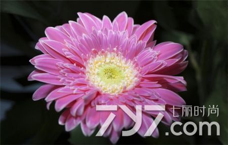 痔疮怎么治两种方法可治疗痔疮