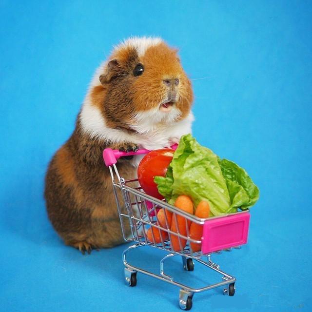 缇庨澶╀笅鍏荤敓澶у笀,缇庨澶╀笅棣欑尓