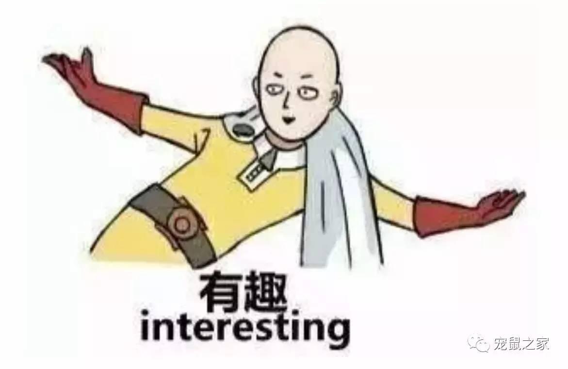 缇庨澶╀笅鍏荤敓澶у笀,缇庨澶╀笅棣欑尓