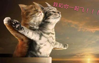 新一轮雾霾来袭，雾霾季润肺食谱之蜂蜜雪蛤炖燕窝