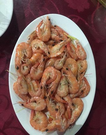 一家三口去三亚,一家三口三亚旅游图片