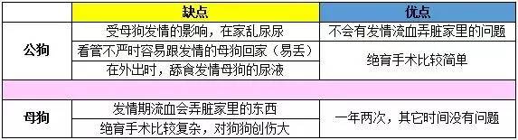 一梦谈狗：养一只公狗和养一只母狗的差距这么大你投票给谁？