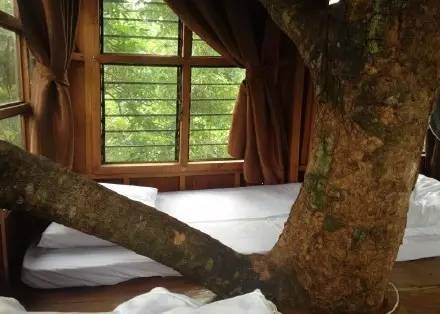 拜县这8家特色度假村，看完以后只想马上出发！