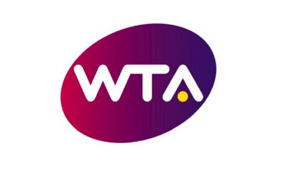 乐视超级电视剧,2015乐视超级电视