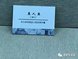 中国本土的美人鱼原来长这样，安徒生的脑洞都不够用了