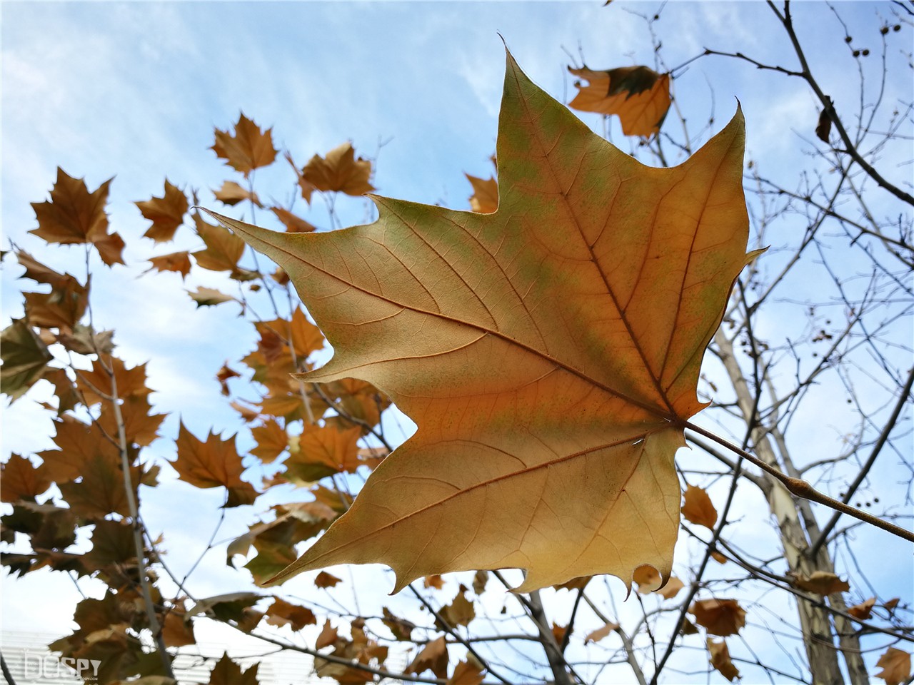 华为mate9pro评测,华为mate9pro性能详解