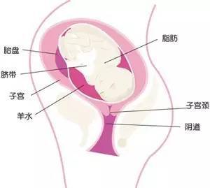 怀孕初期阴道出血什么症状,怀孕初期阴道出血的症状