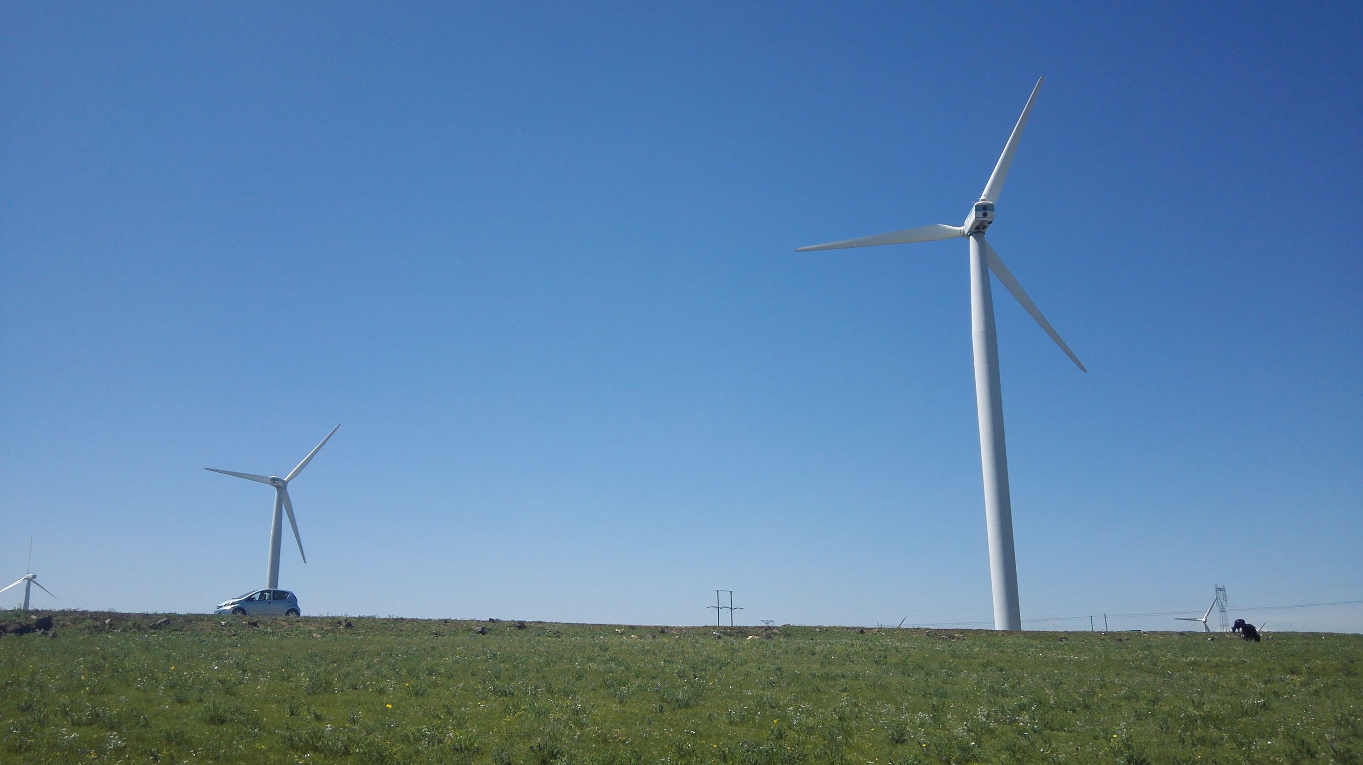 辉腾锡勒草原拍照姿势,辉腾锡勒大草原照片