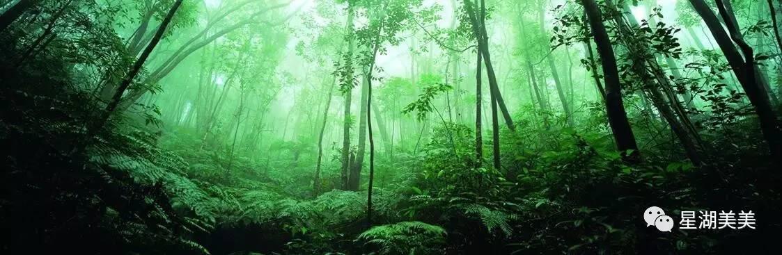 广东省肇庆市生态环境,肇庆生态文明