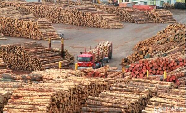 国内的木材行情和国外的木材行情,国际木材市场分析