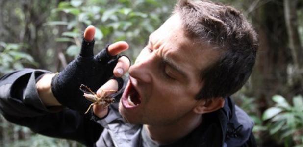 这是一个关于一群华人富婆，到澳洲买苦吃的故事