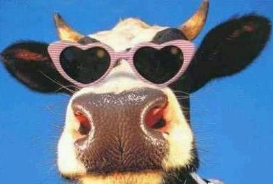 通过手指长度看性格,怎么看睾酮指标