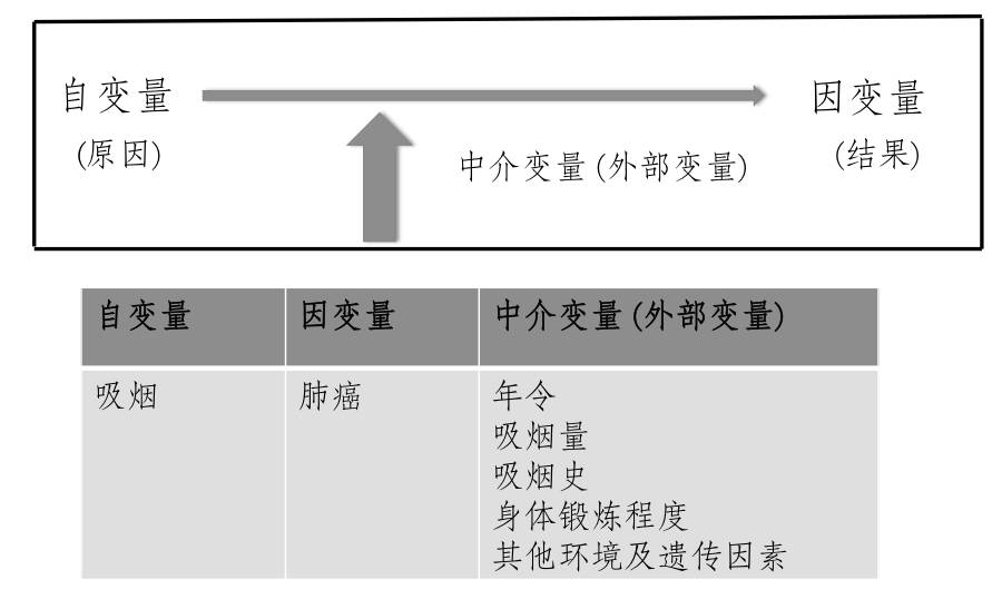 科学研究实验,实验研究设计模板