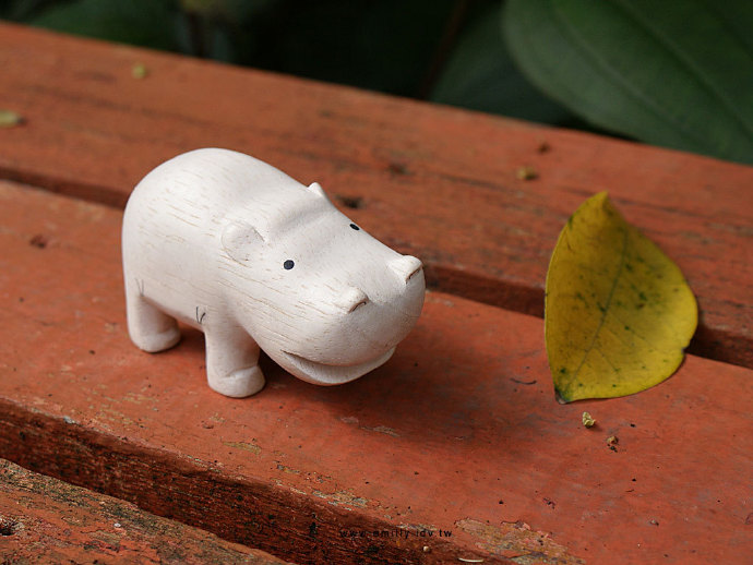 呆萌可爱小动物解密,可爱小动物变食物