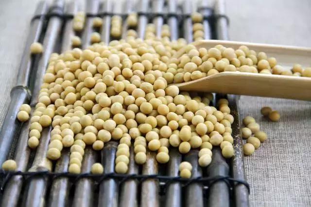 冬日就应该来碗红豆年糕汤来治愈,入秋祛湿红豆薏米粥