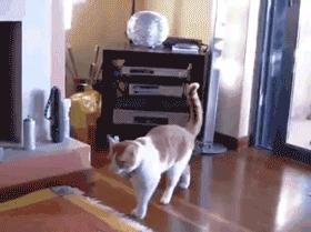 如果世界没有摩擦力世界会怎样,如果世界没有了摩擦力会怎么样