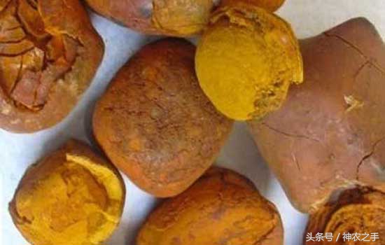 农村这几样东西价值五十万,明年农民家这四样东西很值钱