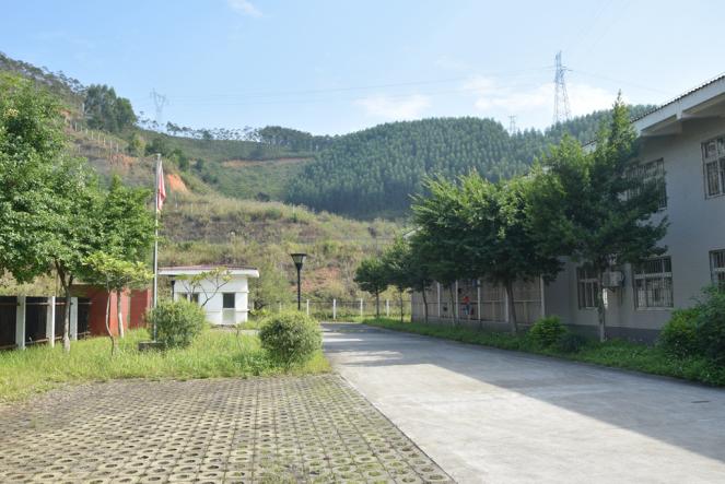 入门级无人机性价比,dobby无人机评测