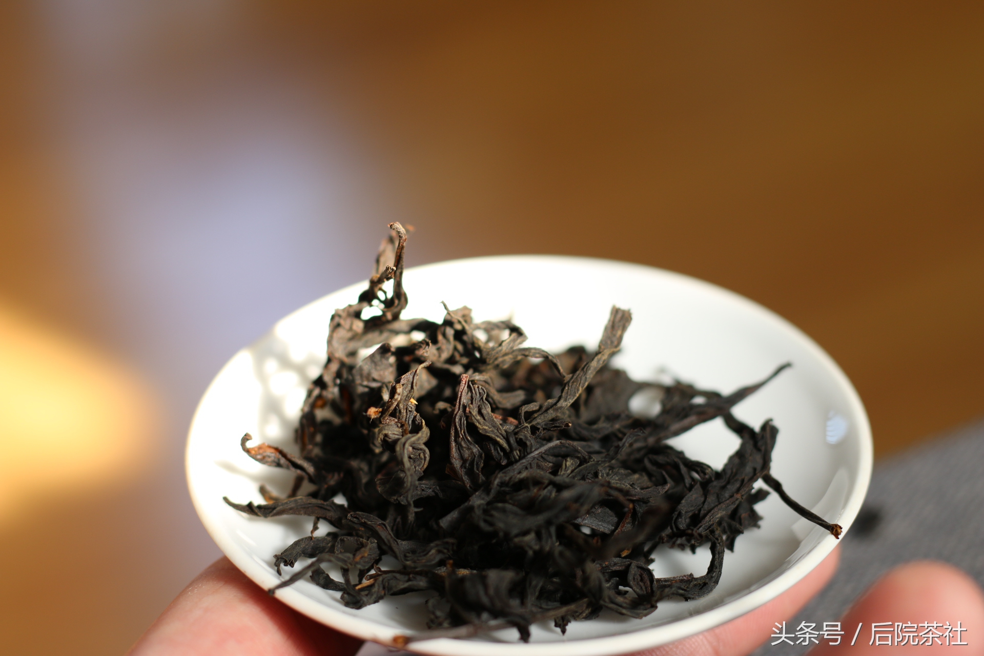 红茶基本知识,六大茶类红茶的基本知识