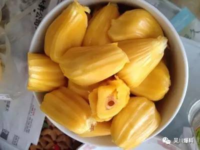 千万不要离开吴川，因为你会活不下去！