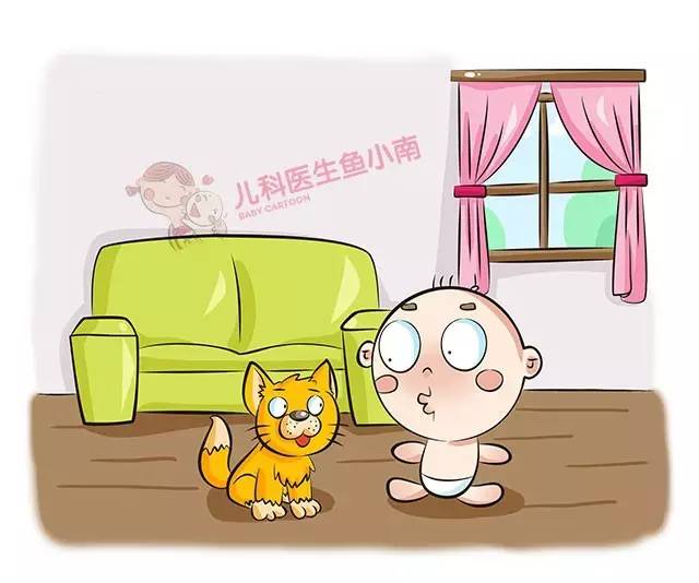 宝宝和喵星人,宝宝和汪星人谁厉害