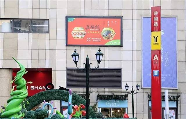 广州最便宜实惠的美食,广州一日游必备十大美食