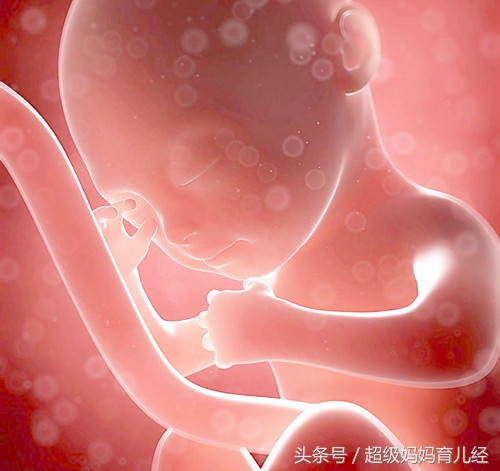 准妈妈肚子大，胎儿就大？不一定哦！