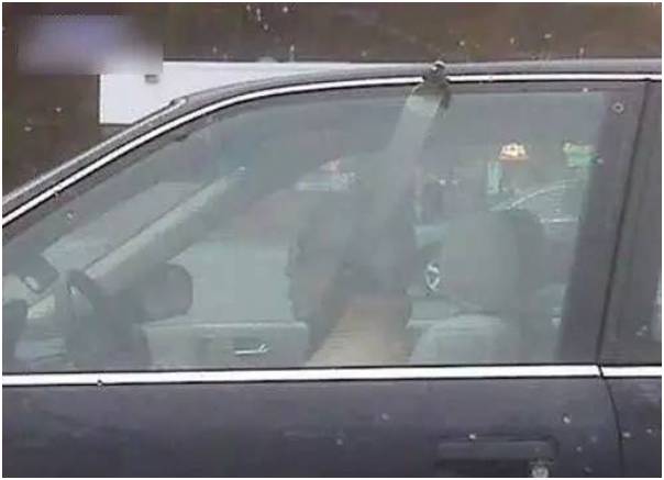 有钱买车没钱养车养不起,有钱买车没钱怎么办