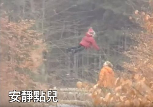 历史上真实飞升,中国历史上真的有人飞升吗