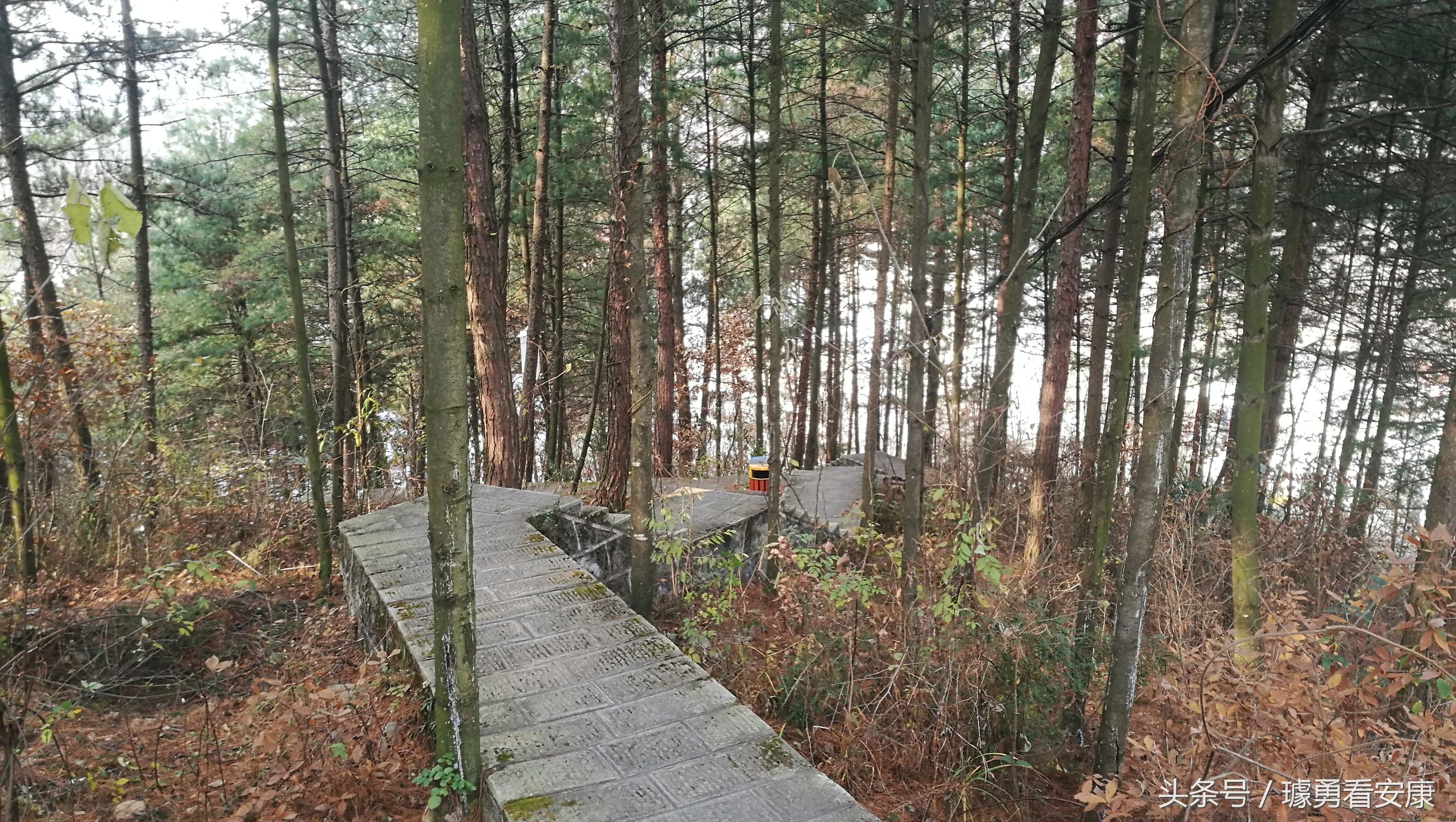 这里是中国慢城,一个让人能够宁静的城市这里环境美人情更美