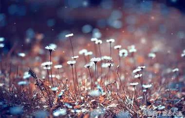 这4句话越读越有道理,值得反复读的几句话