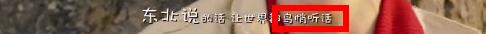科普一下你不知道的，全世界都在说的东北话