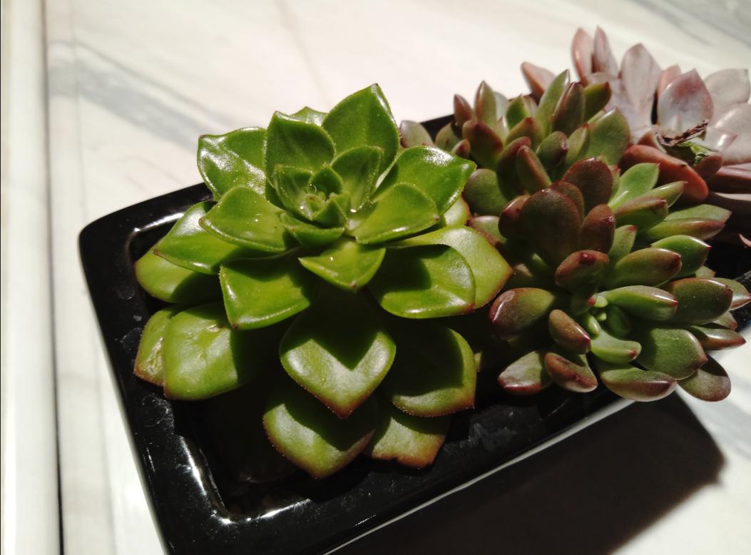 魅蓝5的续航表现,魅族note5续航