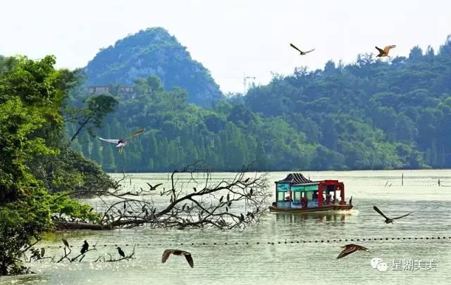 广东省肇庆市生态环境,肇庆生态文明