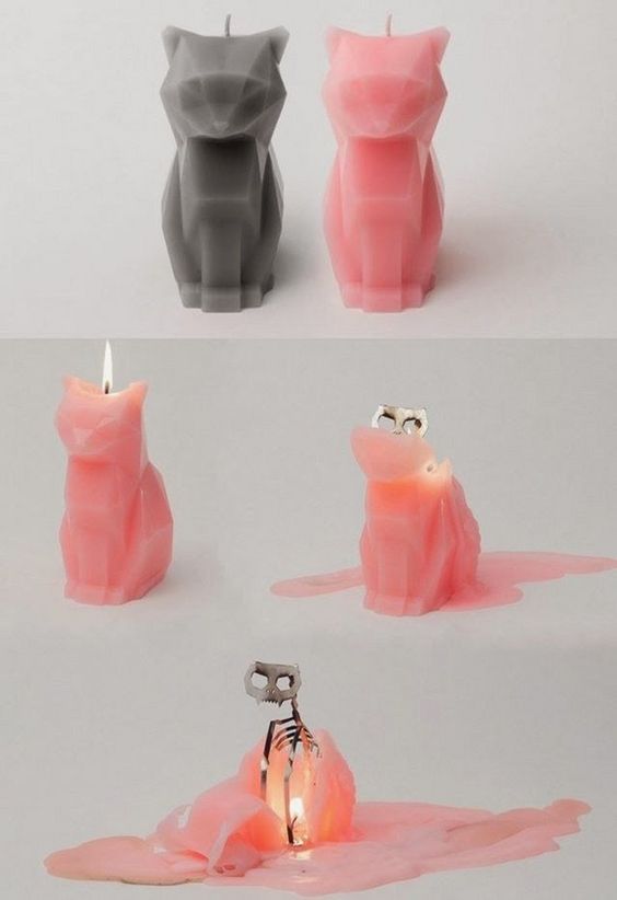 呆萌可爱小动物解密,可爱小动物变食物